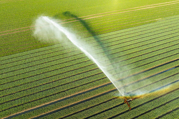 Irrigation Solutions