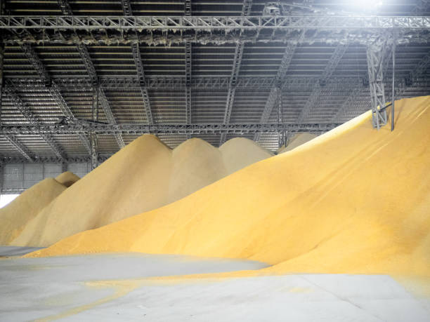Post-Harvest & Storage