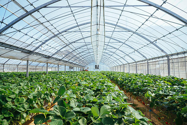 Sustainable Farming