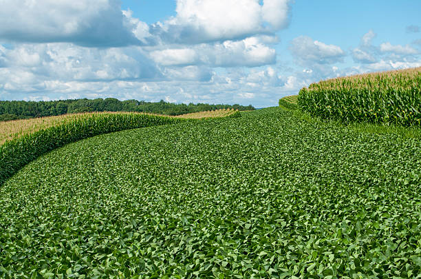 Land Leasing